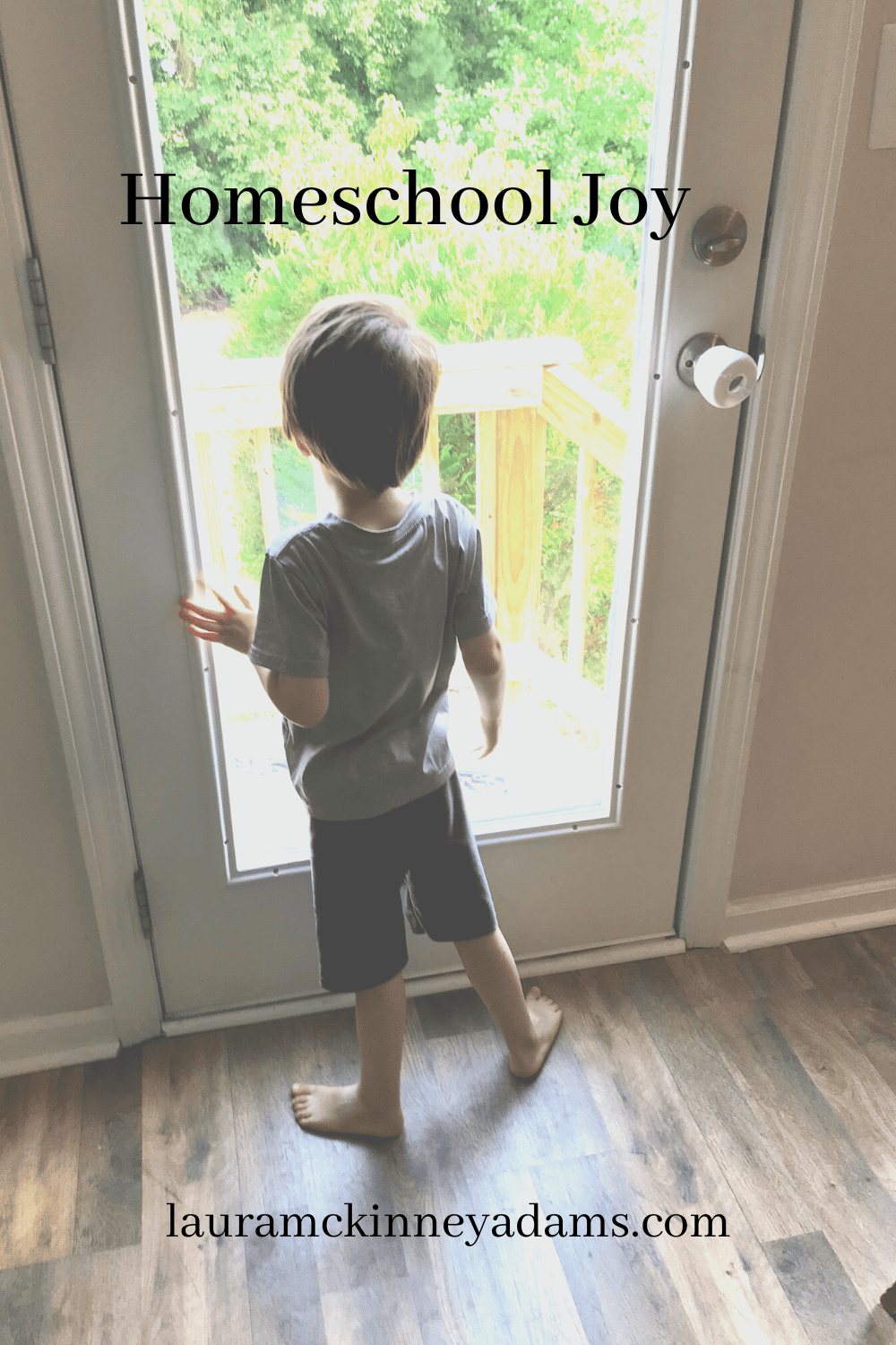 Homeschool joy laura mckinney adams