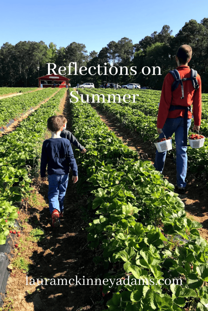 reflections on summer